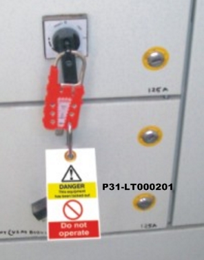 DISPOSABLE LOCKOUT TAGS